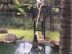 -可伦宾野生动物保护区