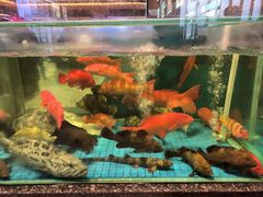 -聚福宝合苑食府(南头镇店)