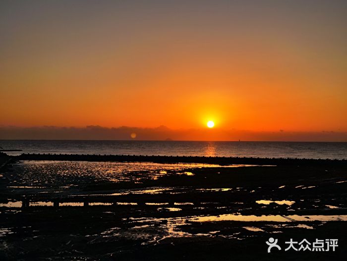 南汇嘴观海公园图片