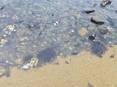 -西秀海滩公园
