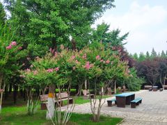 -东升八家郊野公园