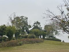 -天屿湖