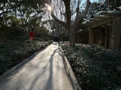 -徐家汇源景区-衡山公园