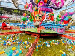 -南宫五洲植物乐园