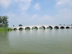 -溱湖国家湿地公园