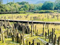 -河姆渡遗址博物馆