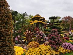 -共青国家森林公园-售票处