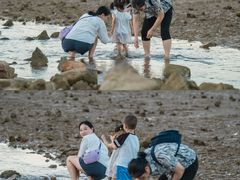 -坝光海滩