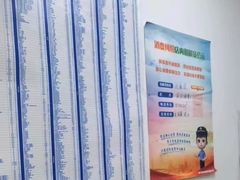 -宠福鑫动物医院(城北分院)