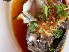 -大树下海鲜饭店