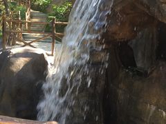 -广州市流溪河国家森林公园