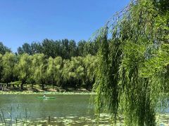 -WhaleSports户外水上运动俱乐部(朝阳公园店)