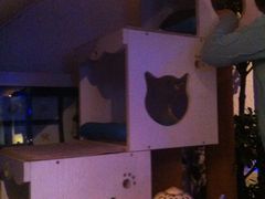 景观位-Sirena海妖日咖夜酒