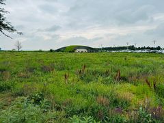 -敕勒川草原