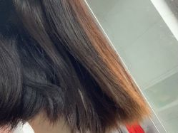 -镁连社·美联社
