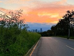 -光明小镇欢乐田园