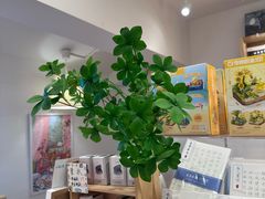 -猫的天空之城概念书店(束河店)
