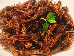 香炸蚂蚱-燕春楼(海河华鼎店)