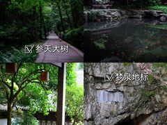 -虎跑公园