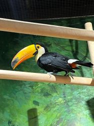 -Zoolung Zoolung动物主题公园(海信广场店)