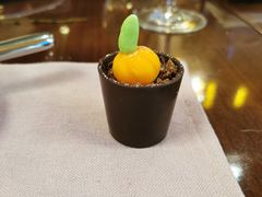 -温州喜来登酒店-盛宴西餐厅
