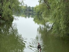 -长兴太湖图影湿地文化园