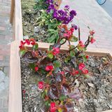 继前几天上海东方明珠等22. 个景点对外开放