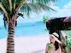 -珊瑚岛