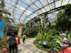 -北京植物园-展览温室