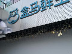 门面-盒马鲜生(龙德广场店)