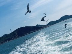 -海驴岛(荣成市)