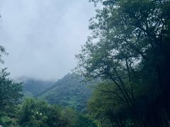 -雅鲁激流探险漂流