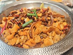 -川大刘肥肠鸡(北国店)