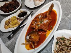 -老绍兴养和饭店(向阳不夜城店)
