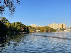 -荔湾湖公园
