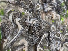 -攀枝花·任德琼·盐边羊肉米线