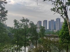 -重庆彩云湖湿地公园