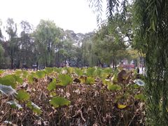 -四川大学(望江校区)
