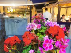 -扬州狮子楼·非遗淮扬菜(东关街店)