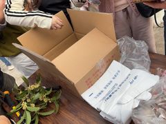 -苏州市吴中区光福窑上花果蜜饯厂