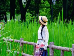-成都市活水公园