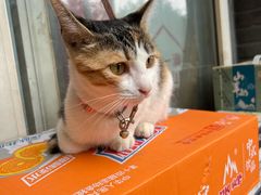 -中国人民解放军空军第九八六医院(北区)