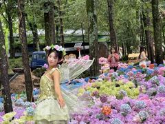 -洛阳白云山景区
