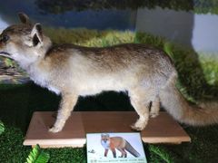 -下渚湖国家湿地公园科普馆