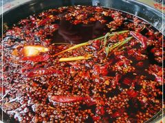 -一斗火锅·招财羊毛肚(上河城店)