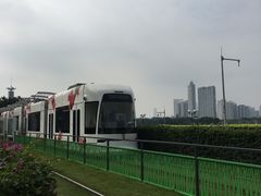 -珠江夜游广州塔·中大码头