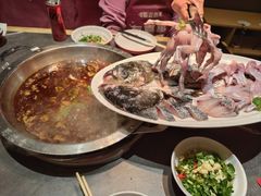 -蜀滋香鲜鱼美蛙火锅(339店)