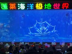 -蓬莱欧乐堡海洋极地世界