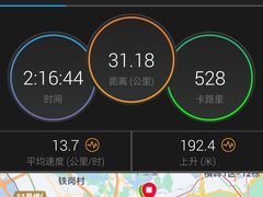 -深圳湾公园(南山区)