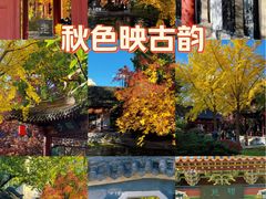 -碑林公园